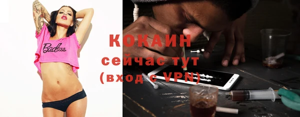 твердый Чегем